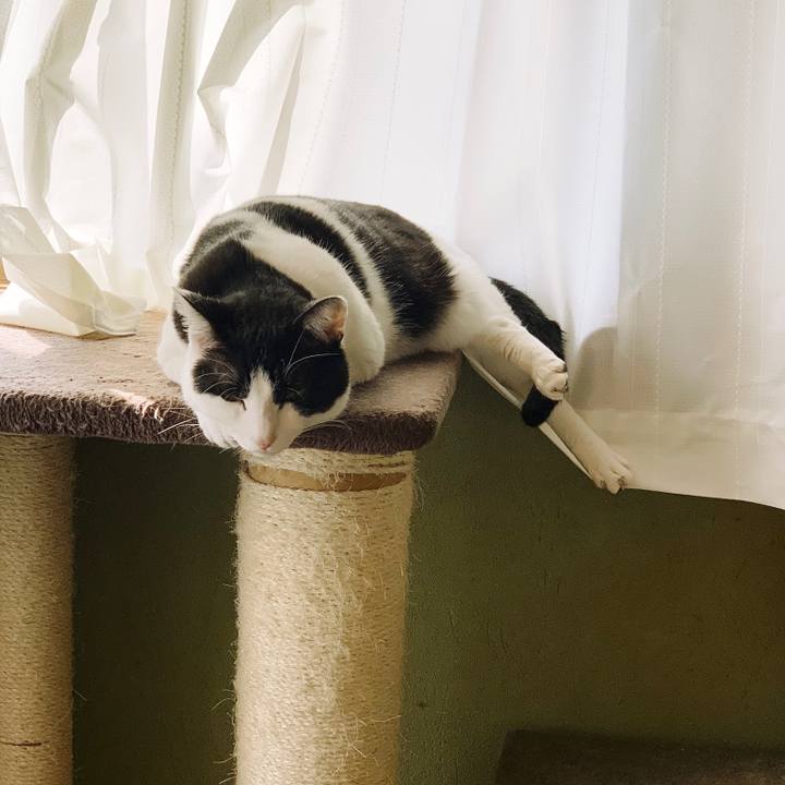 3cc4043b 7b55 499a 83d3 60e9355f3893 1556675464520