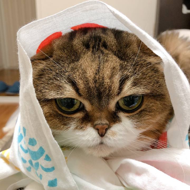 3cc41398 b59e 4651 85b9 62dbeba8e631 1599390220804