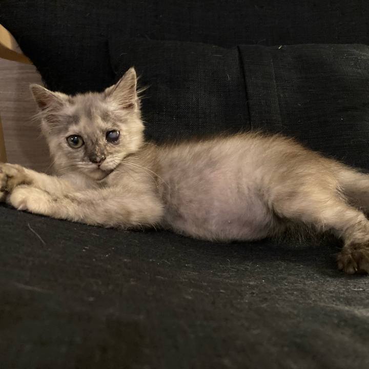 3cc4388d 66af 49c0 9d30 142cc9775319 1691207347155