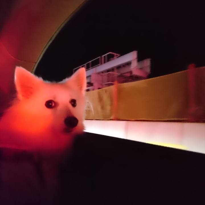 3cc44806 280e 4bc7 9563 8dccabd1ae21 1537096612442