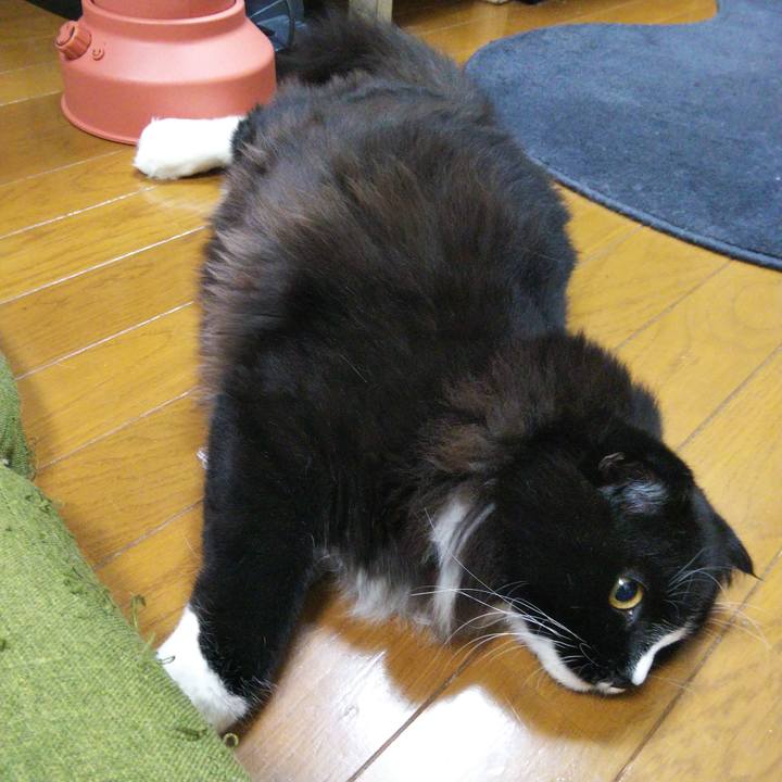 3cc44b60 28ef 44d0 a852 4a5bd39c88ce 1653313683393