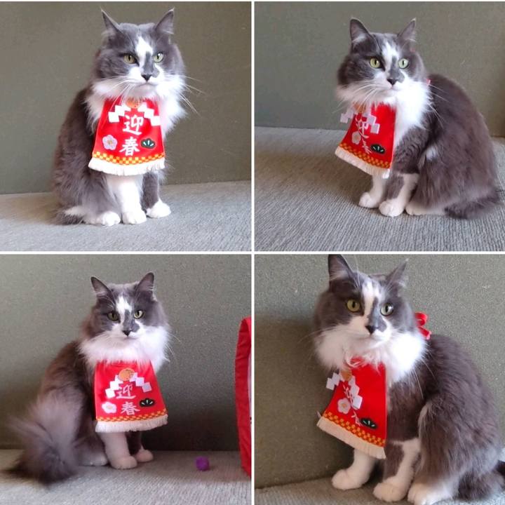 3cc49d6b ce00 4c7f ac2f cc8aa8f80b99 1735712922144