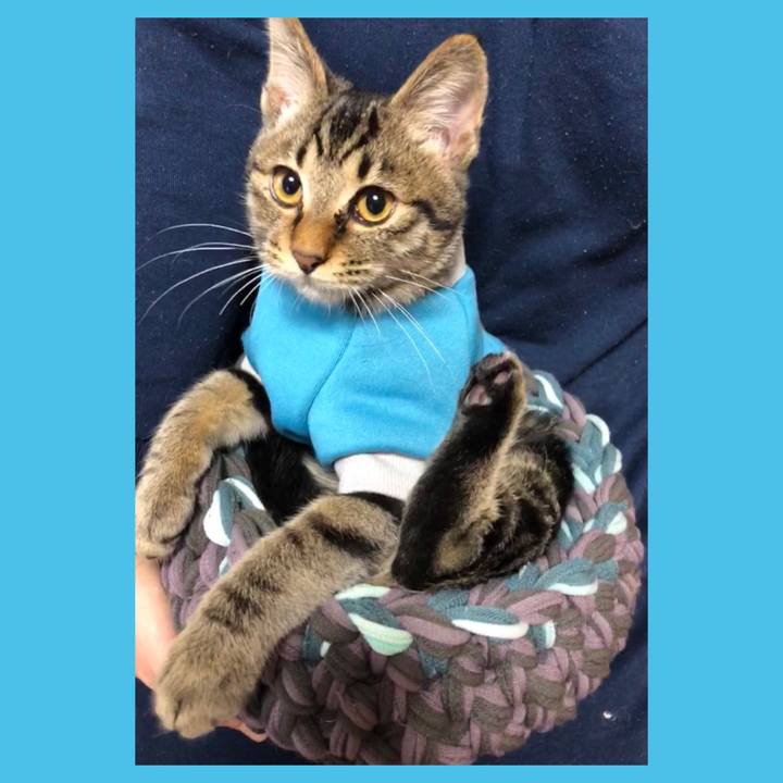 3cc4b28e c561 48d6 9b1a ba2b72e363f3 1731823510116