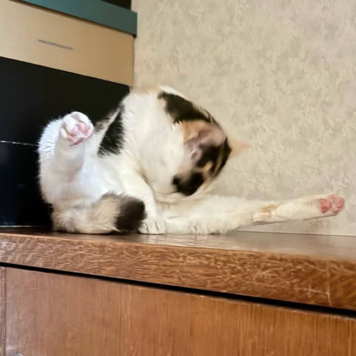 3cc4edc9 54ed 40a6 9eda c444848363a8 1750296466197