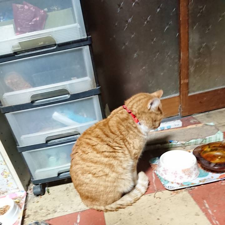 3cc4f7a3 0ac4 47bb ac7e 901a4a07d184 1577997736659