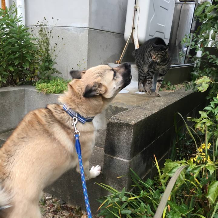 3cc53a00 5cb5 44d1 a416 b5e9424398fa 1510983823724