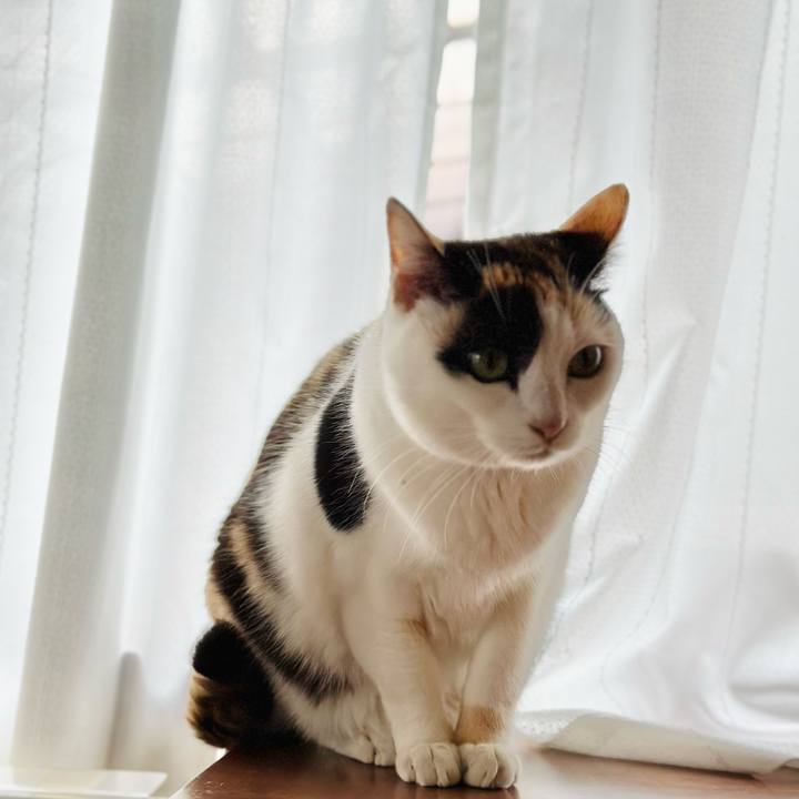 3cc578a8 27a4 4b62 a951 0db54cab745e 1677204074446