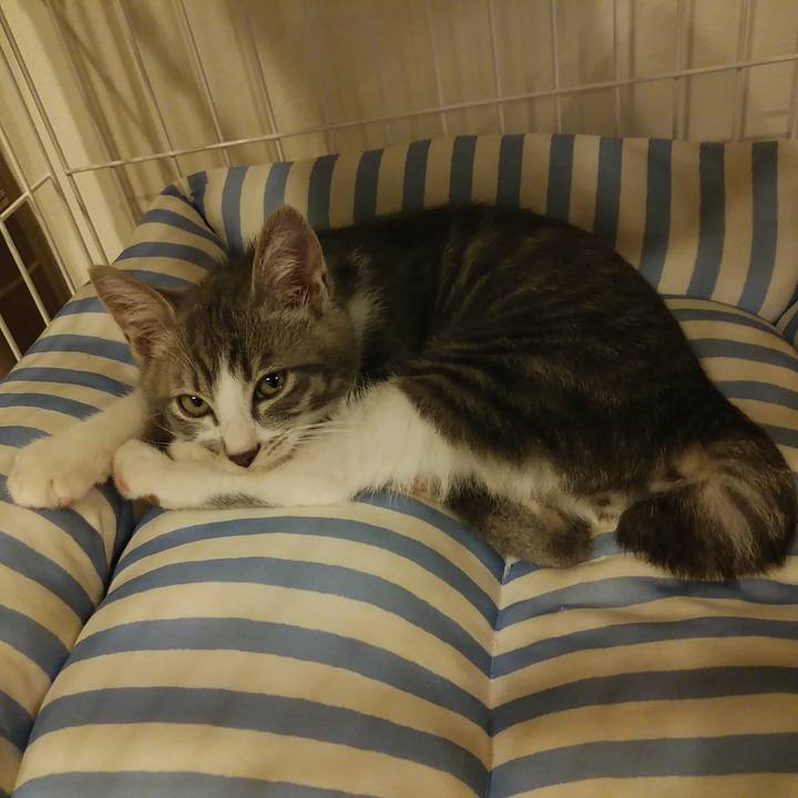 3cc5a398 7d16 4479 aa8a a756d81c2134 1563283731108