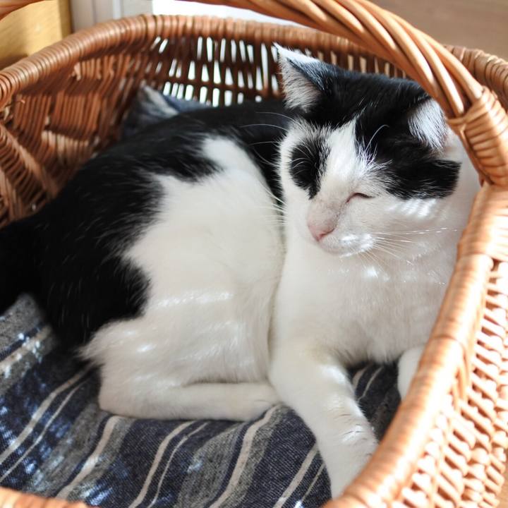 3cc5a57f e8e5 41cf 98eb 901588ddaa5c 1547552271520