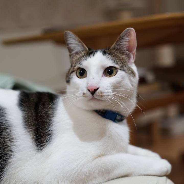 3cc5db76 1cfd 4aab 89a1 1d313c7fc4cd 1516317883053