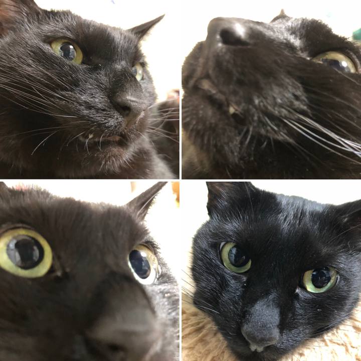 3cc5faac 9fb7 404d a41d 32ca5fb19b17 1587774573415