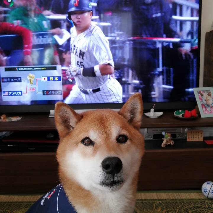 3cc62417 0c9f 469d bf1f 495cefe2abd9 1679367153199