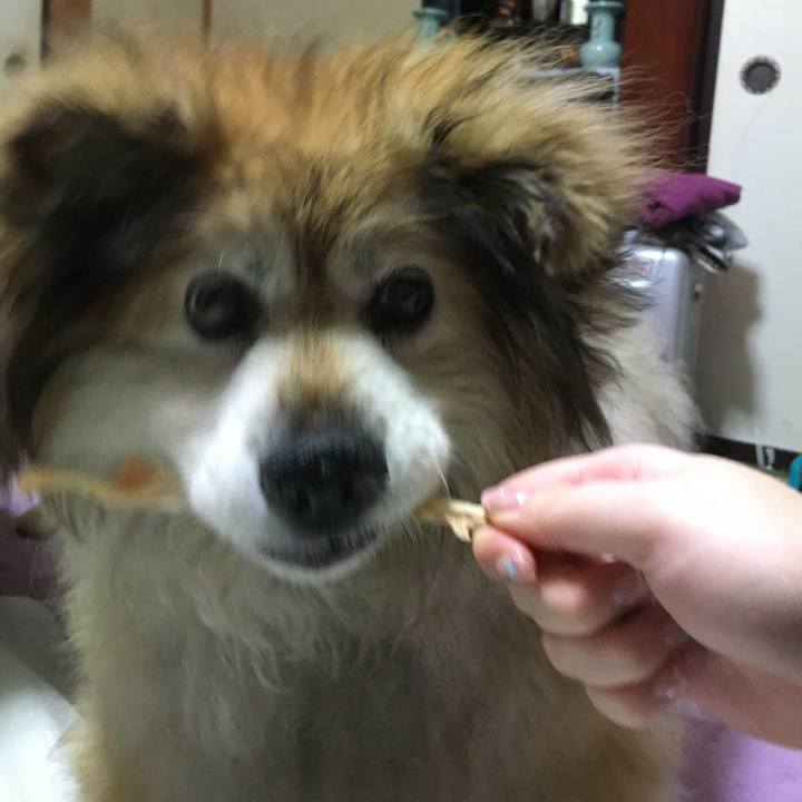 3cc6316f 8adf 40a2 8447 fa7008dc1d40 1579680661279