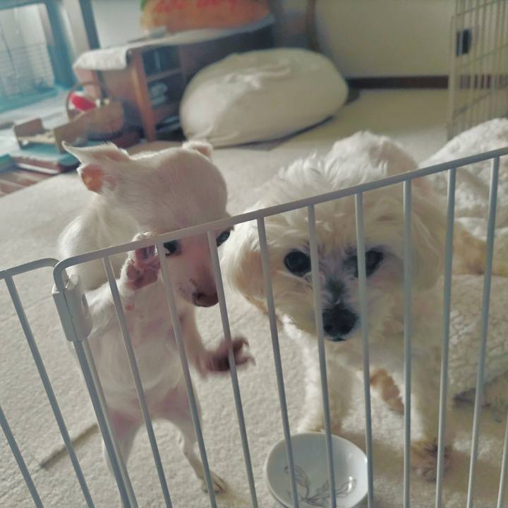 3cc65684 6f2c 4969 92b4 a9c9462a472b 1712382452666