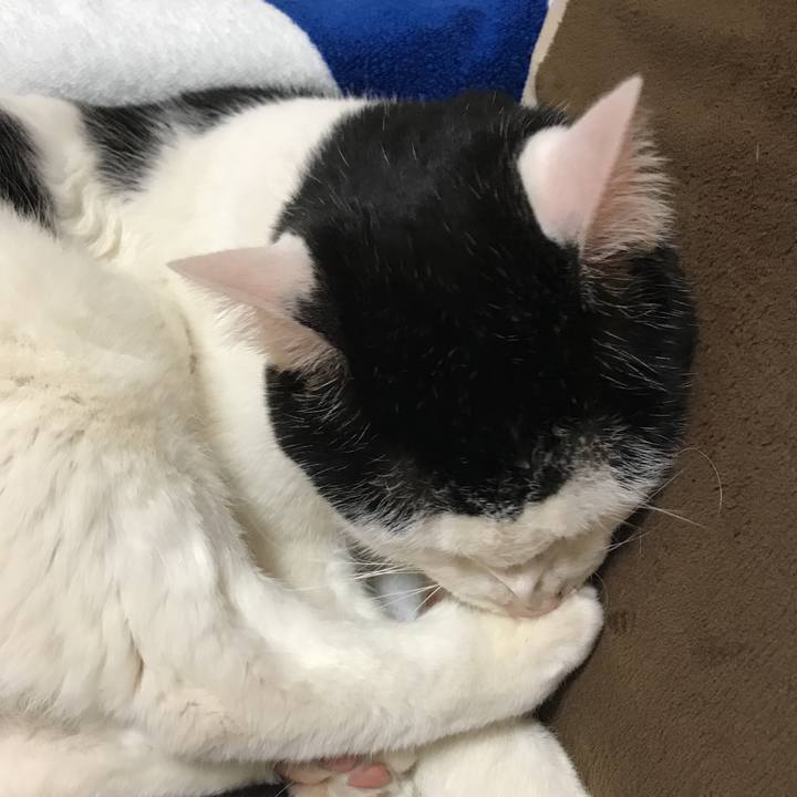 3cc65f89 60b4 4f7f 96be 8a9311845345 1587816189783