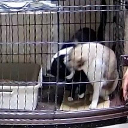 3cc68ffd 8fa3 4edb 97bc 144e4936503e 1761337571212