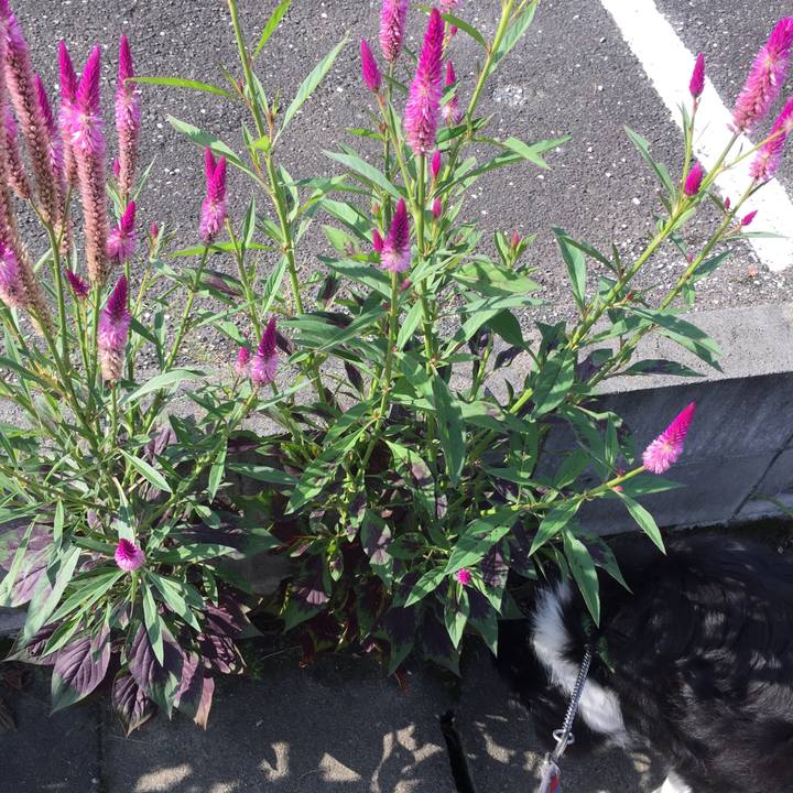 3cc69fbb cab7 4316 848b b6e5ac1e90d5 1568248499482