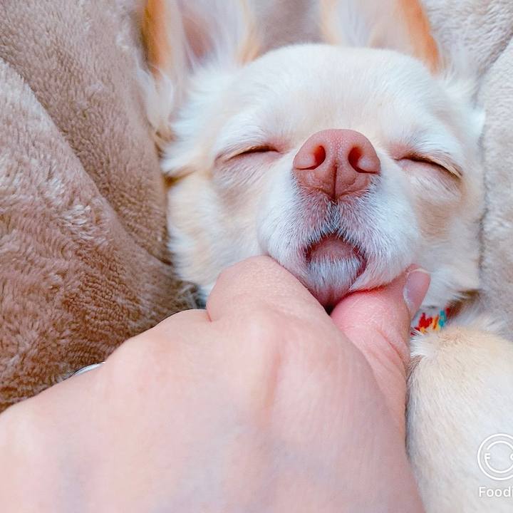 3cc6a51b 6a6e 4e16 acc8 5d979d7793d7 1612854950040