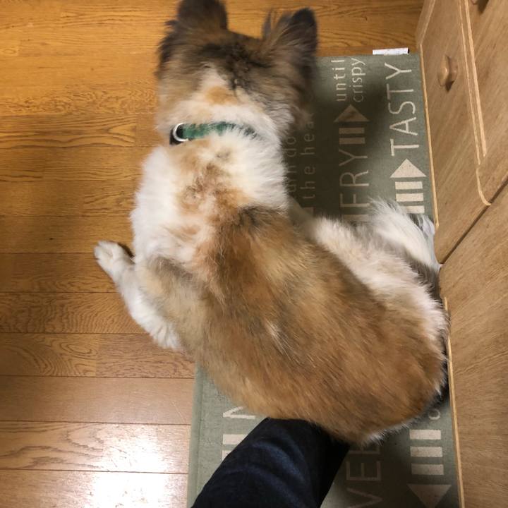 3cc6c106 5381 497d b21b f6f89833421f 1529231673517