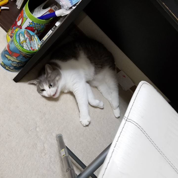 3cc6f248 b0c7 4acf 8a25 f40ab4bff77e 1597315455209