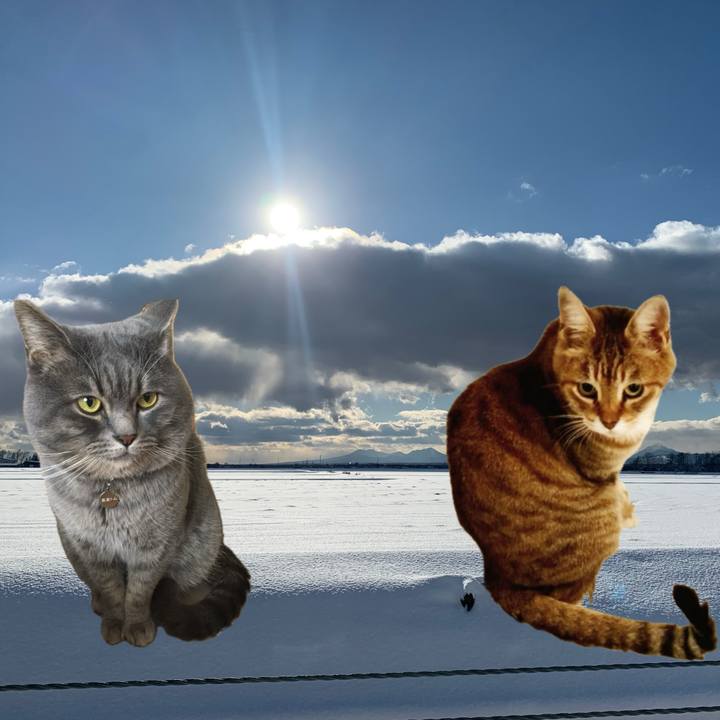 3cc72e2d 7fda 4422 9a0d 6d9ca731e071 1734264830521