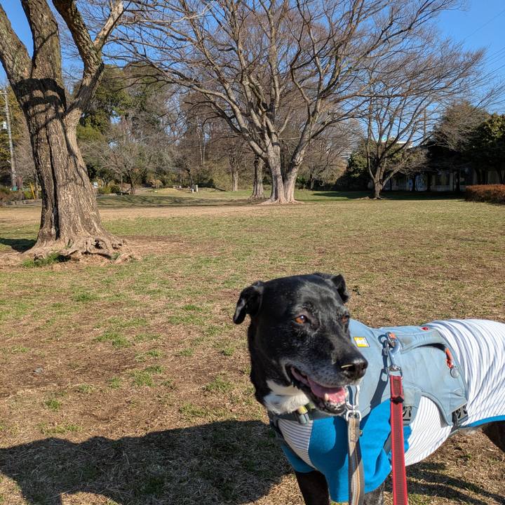 3cc758d8 ca86 487b 9538 12e986bfd6e1 1742518505260