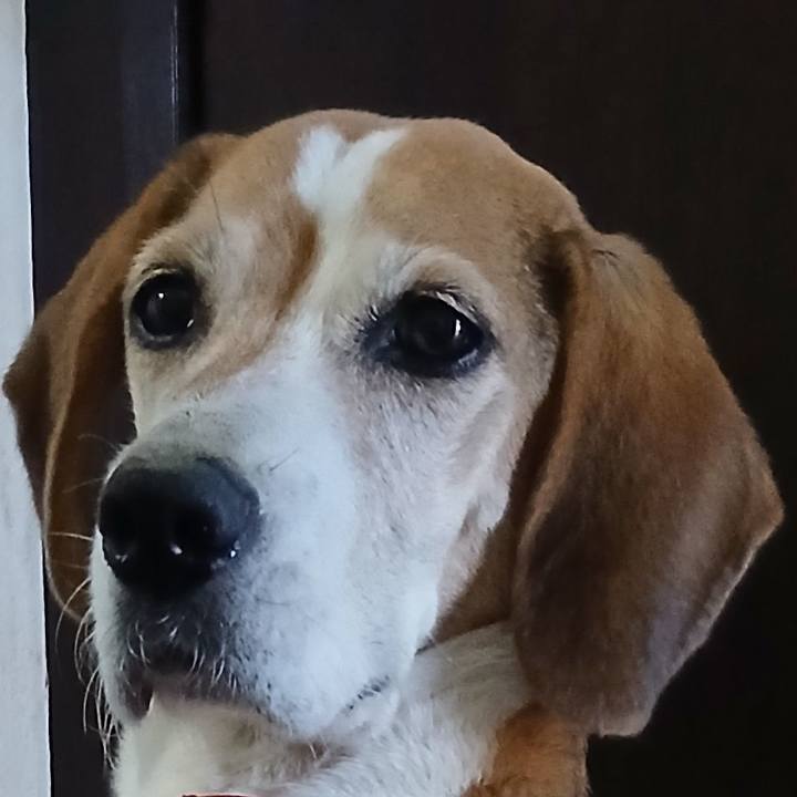 3cc77223 71b0 4220 bf7d d83f4a5c6262 1765942112640