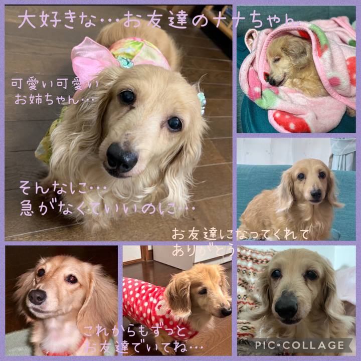 3cc78140 d739 4ce5 aa98 85f500da39c9 1752033872586