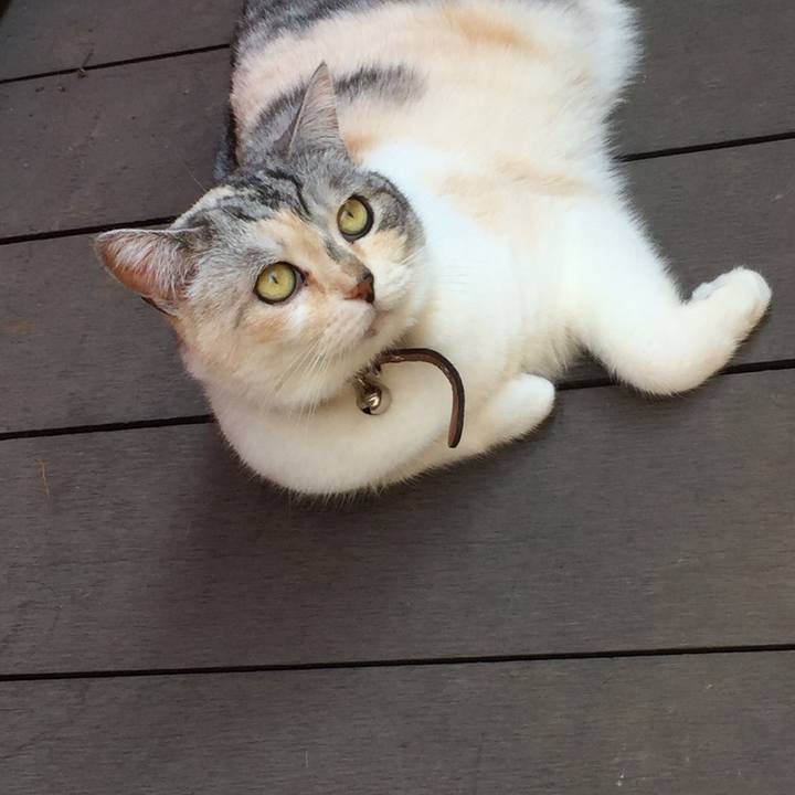 3cc78256 de05 4af6 b09a bbe4963648c1 1558774152488