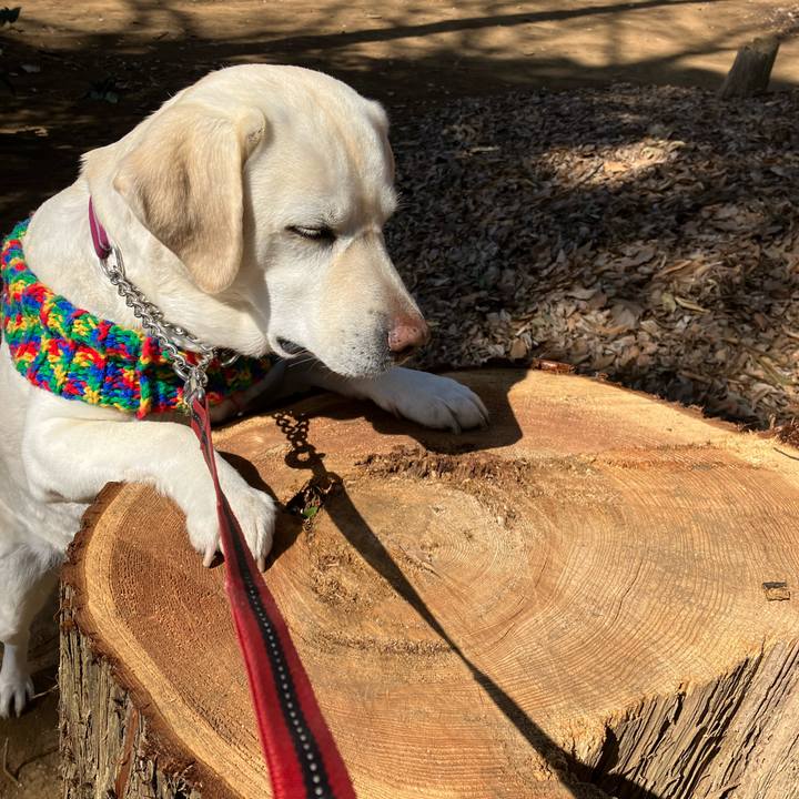 3cc79908 eaaf 416f aff0 7bbc9cf8df00 1677937086705