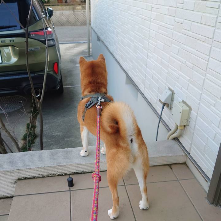 3cc79edd 2668 4eb6 9c77 95b9d7f4fb8a 1766493212237