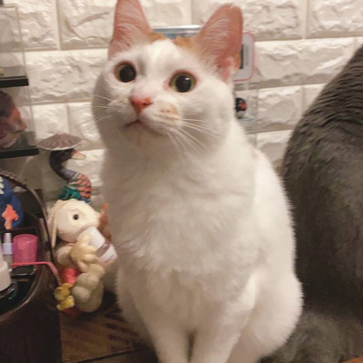 3cc7a449 6960 4c51 8e60 0948474b6333 1589806291634