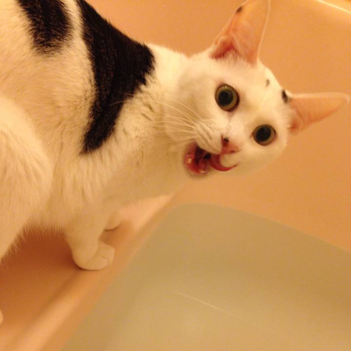 3cc7a6c0 de59 4351 bc06 ae0dcb3cbfa6 1508931596048