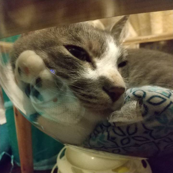 3cc7cd43 c5bc 44f5 9e1c 03a10f35ec3e 1621676577794