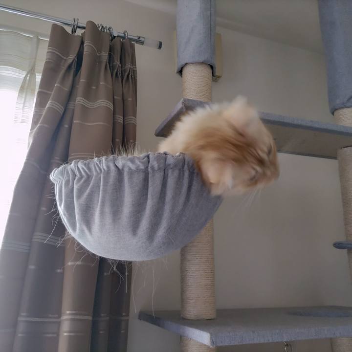 3cc81e44 028c 4358 9063 cc9ec28ff8ce 1699154645092