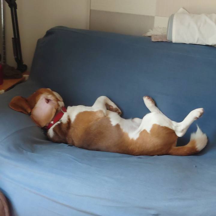 3cc86779 e074 4467 879e 7755380d9c12 1720144507757