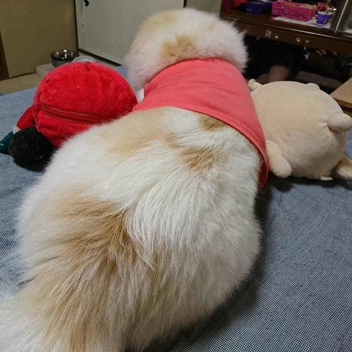 3cc87feb f3c4 4bda b69b 8dc86c619d2b 1535632063225