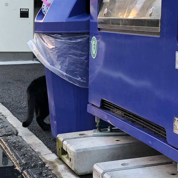 3cc88b31 8b4c 4095 82ef 310ef52fee6d 1545277244922