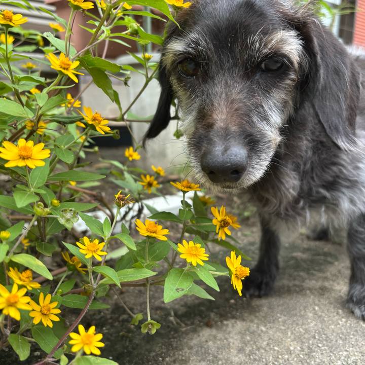 3cc8afe2 ccd0 43ec 84cd 9ad6a634e0fb 1761003109564