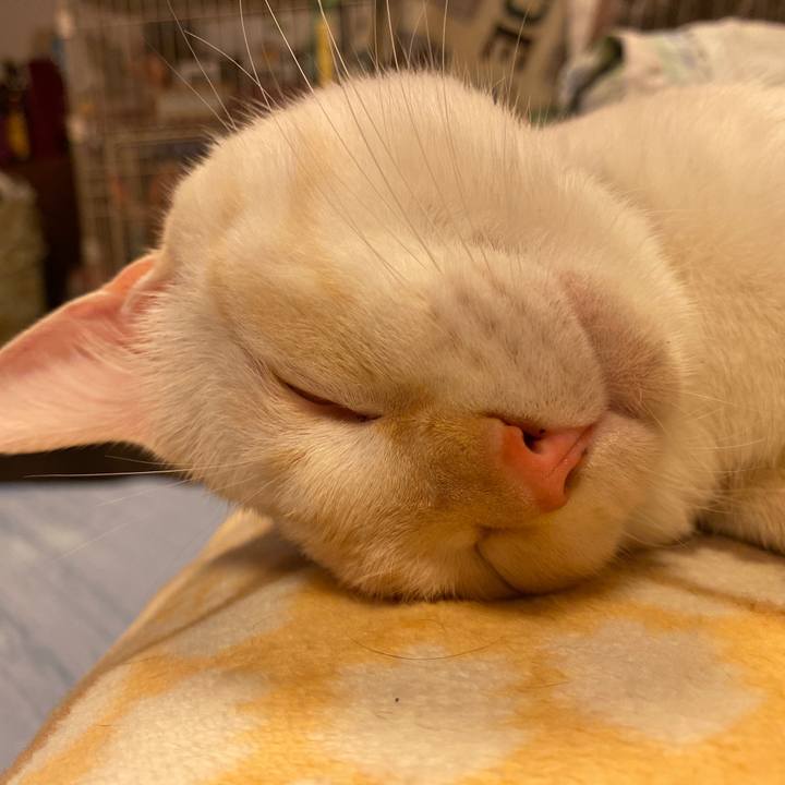 3cc8e4bc c54a 4edb 9de4 5b9d2b588016 1632656980657