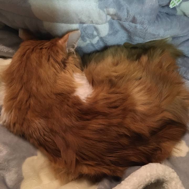 3cc8e835 0d0a 42b3 bd9d c189d7e30cac 1572980413280