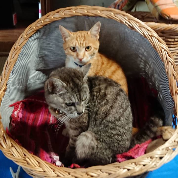 3cc8ed0a cb11 4576 9177 01e7ae8696cd 1561866649939