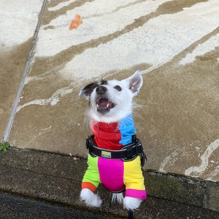 3cc8f3d0 c516 488d 9ffe 408345a9d66d 1744673324690