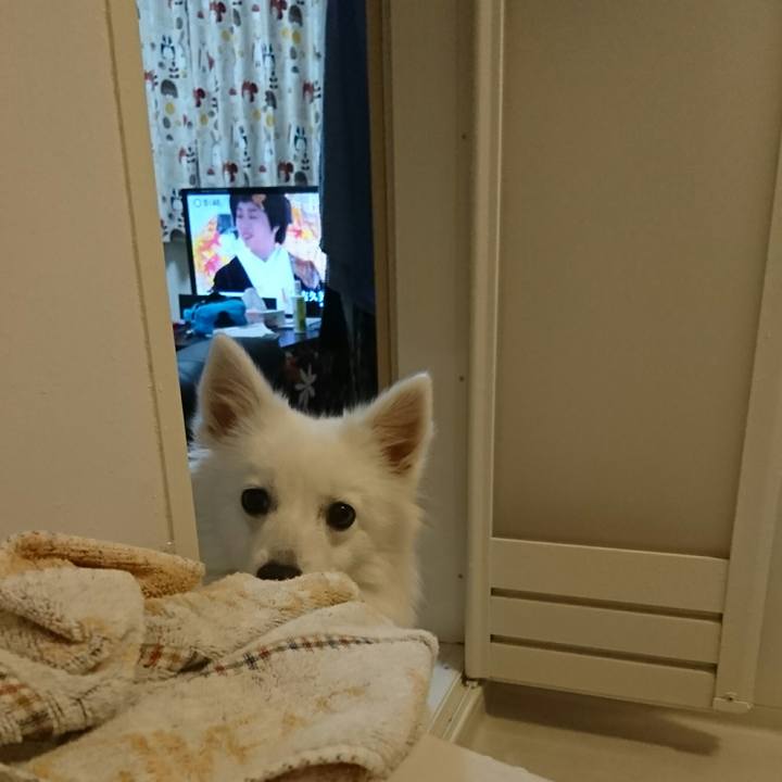 3cc90427 5ce4 4c55 b8df 222a50c3af39 1513241746586