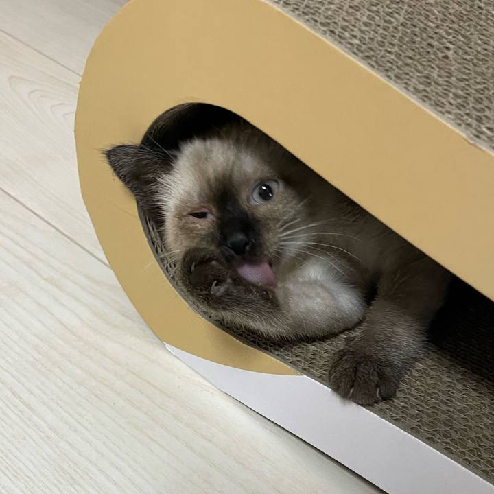 3cc91474 03d8 4005 8861 148c4c13f4e6 1688673150297