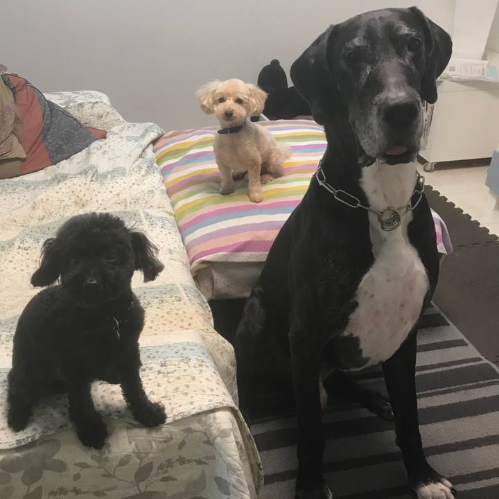 3cc94ec0 ebd0 4e3b a86b 369abe44504f 1530658225964