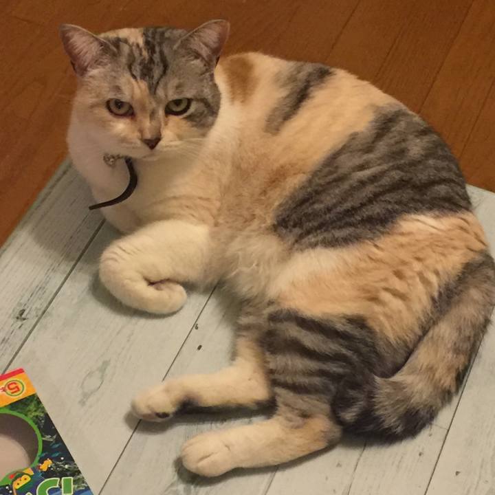 3cc95177 907d 4bd2 9491 8f9835f86b49 1558957433859