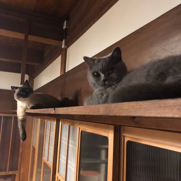 3cc9bf1e 2e44 48e4 92bc 3d7d6a412c83 1607428976419