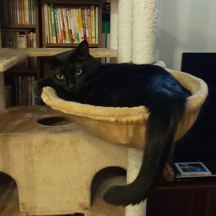 3cca2619 42d8 47c5 93e4 be051a29c147 1691808949200