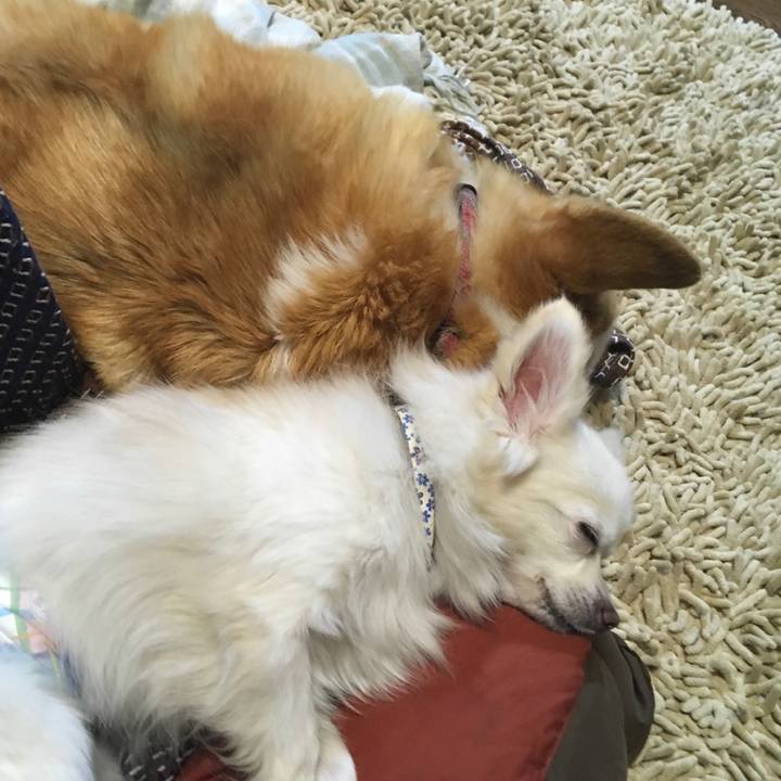 3cca39d0 b476 4ccf 87bb 57756e7d06af 1551763822663